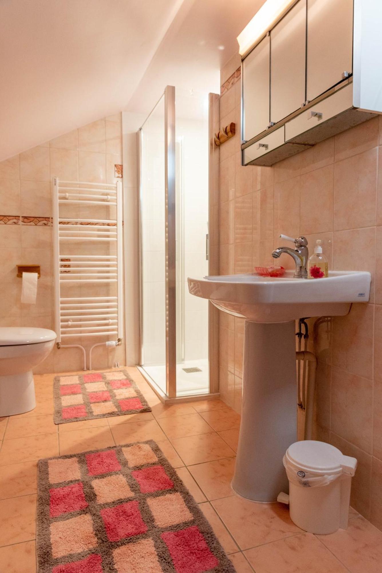 La Maison De Mireille Villa Le Puy-en-Velay Bagian luar foto